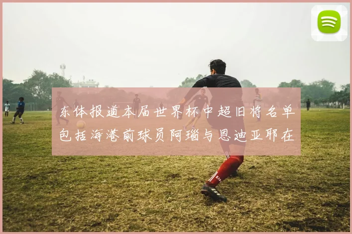 东体报道本届世界杯中超旧将名单包括海港前球员阿瑙与恩迪亚耶在内的10位球员